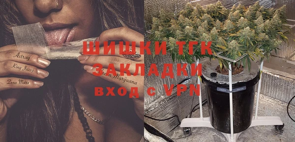 винт Абаза