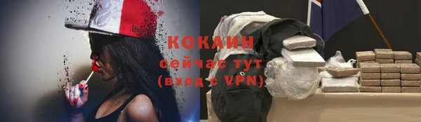 винт Абаза