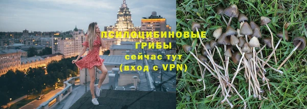 стаф Абинск