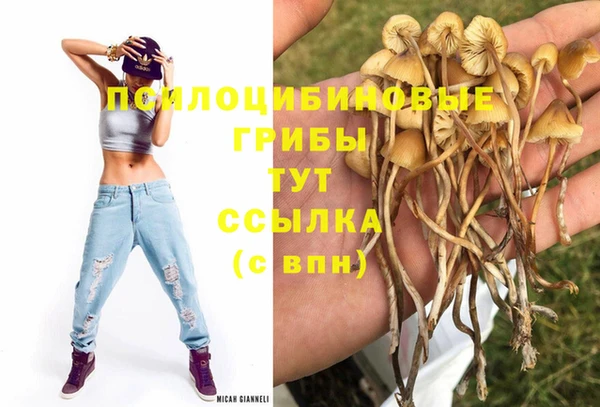 гашик Михайловск
