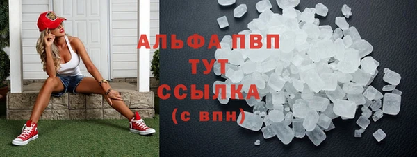 стаф Абинск