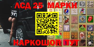 гидропоника Краснодар