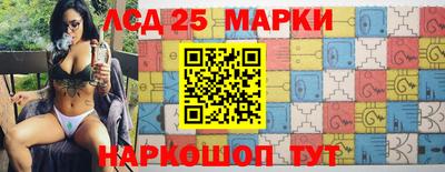гидропоника Краснодар