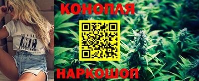 гидропоника Краснодар