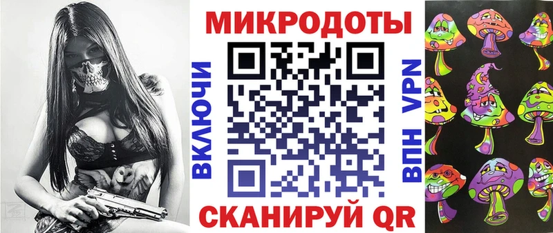 Галлюциногенные грибы Psilocybe  Владимир 