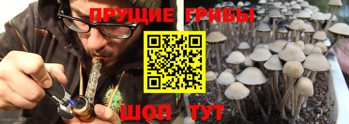 Галлюциногенные грибы ЛСД  Вход с VPN  Владимир 