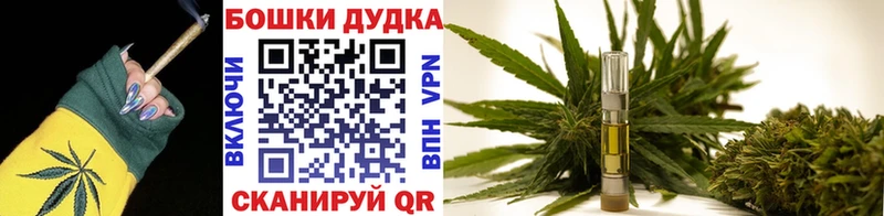 Шишки марихуана план  Владимир 