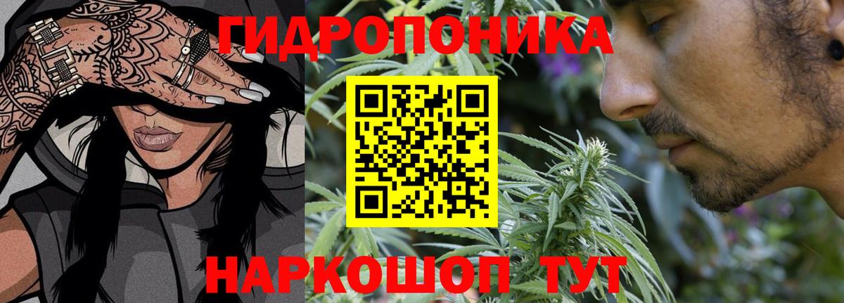 Каннабис White Widow  Бошки марихуана THC 21%  Марихуана SATIVA & INDICA  Владимир  Вход с VPN 